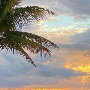 Meet your Posher, Ayda